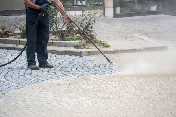 Animal Enclosure Cleaning in Milton, PA